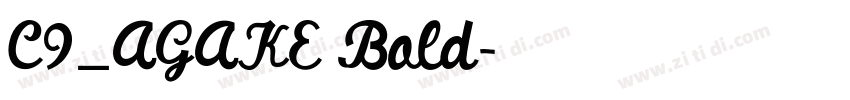 C9_AGAKE Bold字体转换